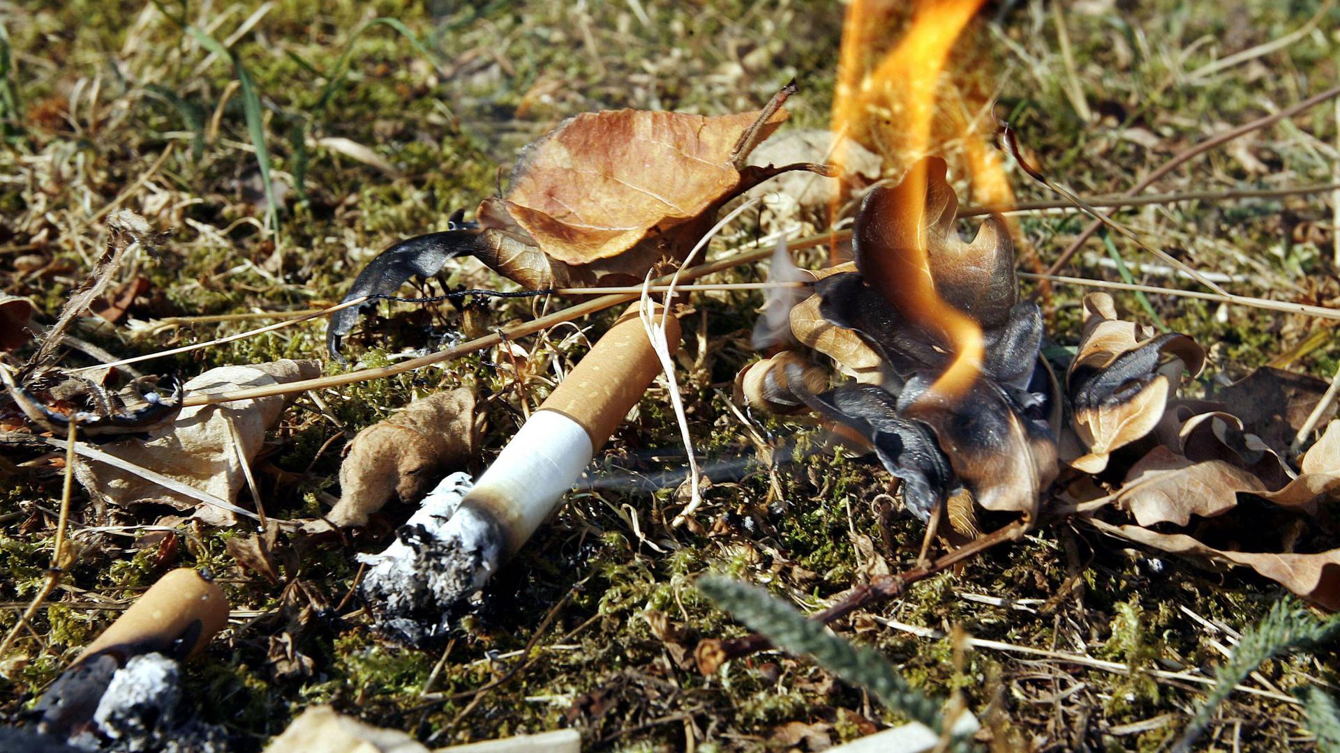 Eine Zigarrettenkippe entfacht am Dienstag auf einem Waldboden ein Feuer. 