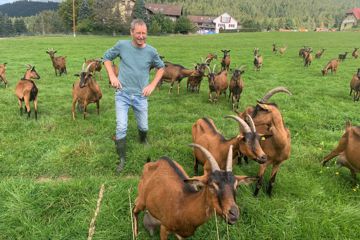 Michael Peterle und seine meckernde Herde versorgen in Baiersbronn die Spitzengastronomie.