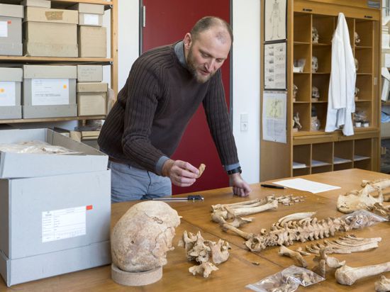 Anthropologe Michael Francken vor menschlichen Skelett-Teilen.