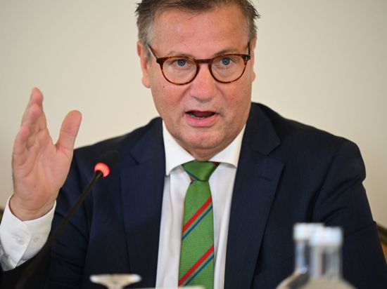 Landwirtschaftsminister Peter Hauk (CDU) spricht auf einer Pressekonferenz. Foto: Felix Kästle/dpa