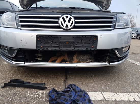 Das von der Polizei Aalen veröffentlichte Foto zeigt einen Hund, der nach einem Unfall im Kühlergrill des Fahrzeugs verschwand und rund 40 Kilometer unbemerkt vom Fahrer mitgenommen wurde.