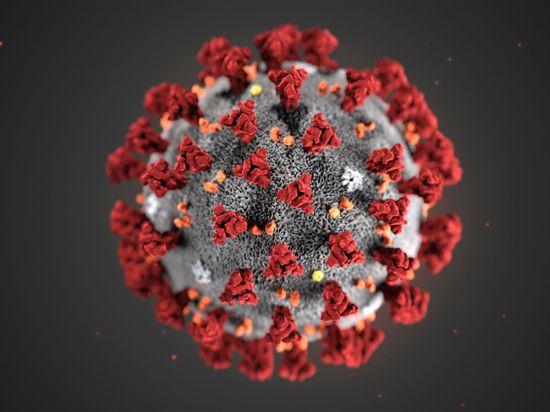 Eine Mikroskopaufnahme zeigt das Coronavirus.
