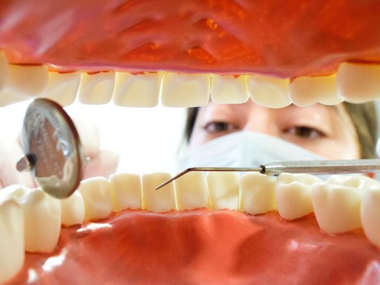 Eine Zahnarzthelferin hinter einem künstlichen Gebiss.