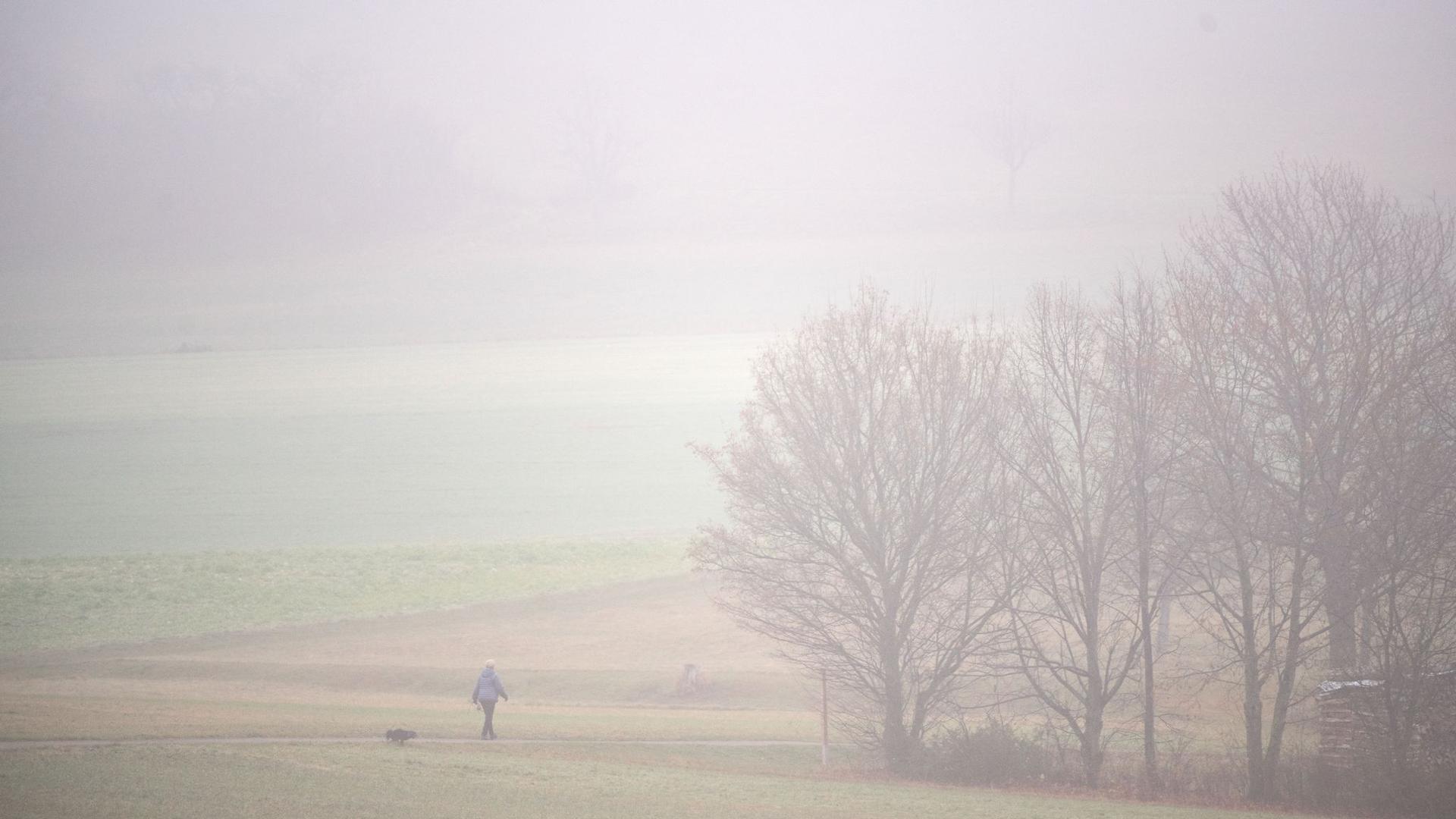 Eine Frau geht mit ihrem Hund im Nebel spazieren.