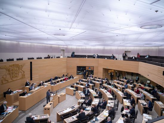Abgeordnete sitzen im Plenarsaal.