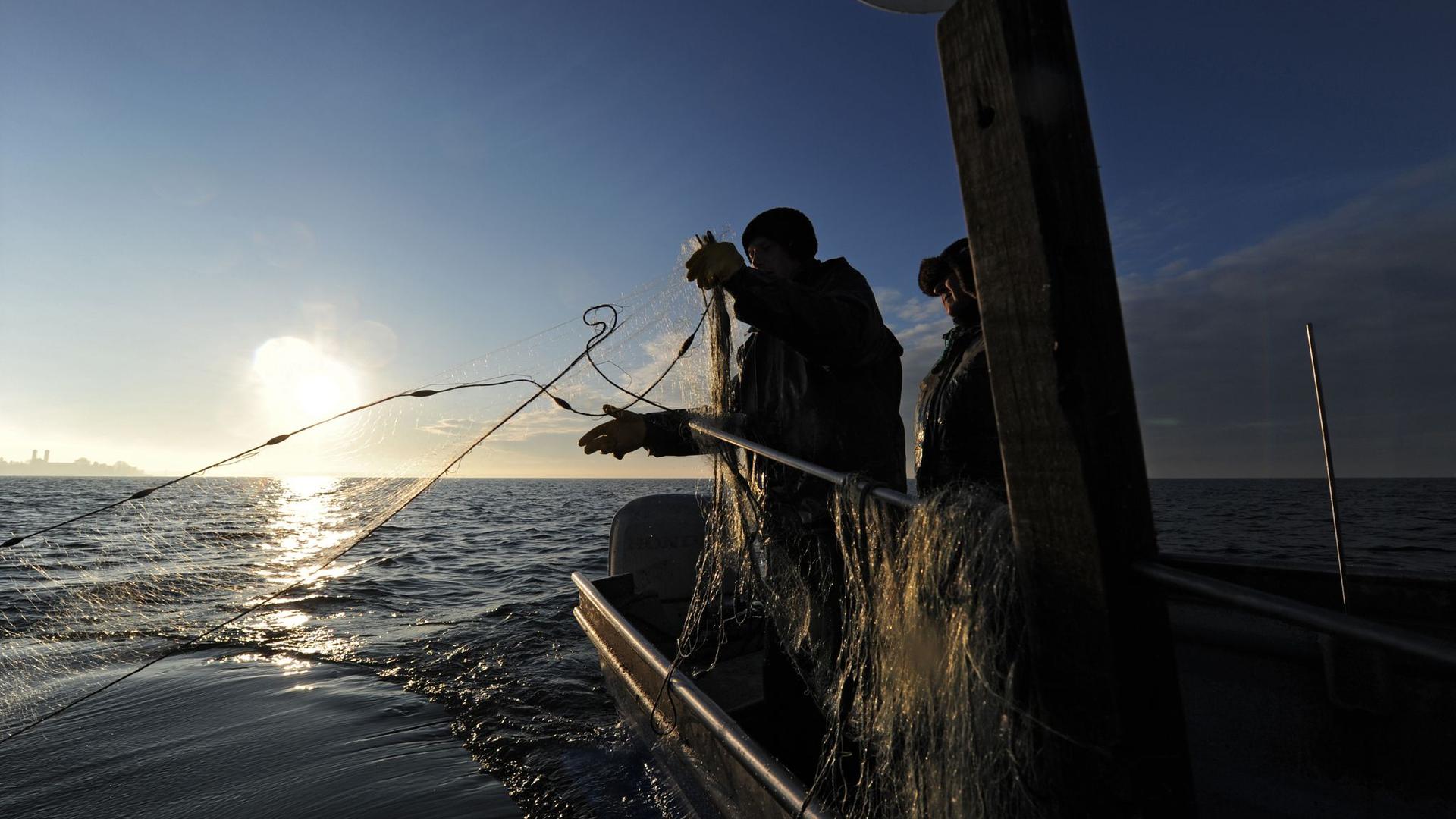 Fischer werfen von ihrem Fischerboot auf dem Bodensee ein Netz aus.