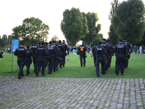 Polizeibeamte gehen über die Neckarwiese.