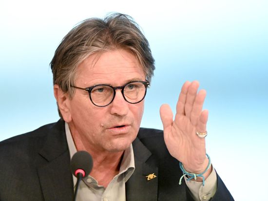 Manfred Lucha (Bündnis 90/Die Grünen) spricht.