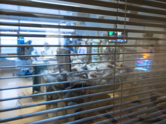 Medizinisches Personal arbeitet auf einer Intensivstation in einem Zimmer von Covid-19-Patienten.