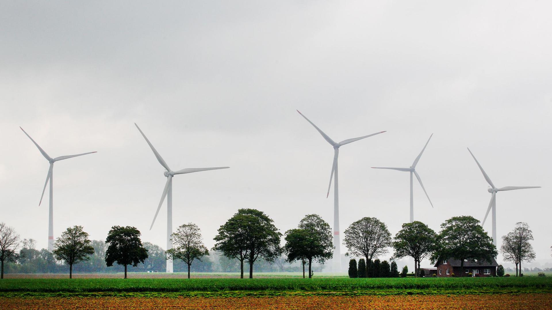 Windkraftanlagen hinter Feldern.