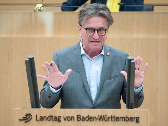 Manfred Lucha (Bündnis 90/Die Grünen), Gesundheitsminister von Baden-Württemberg, spricht.