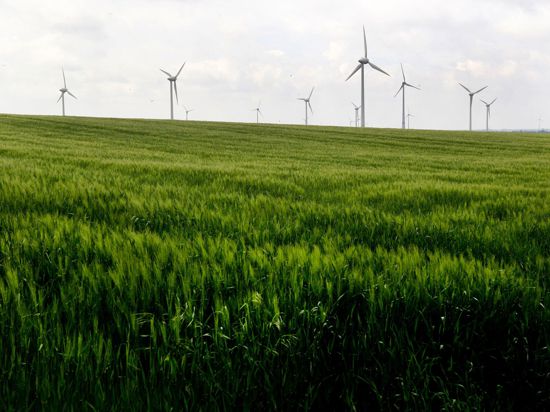 Windkraftanlagen hinter einem Feld.