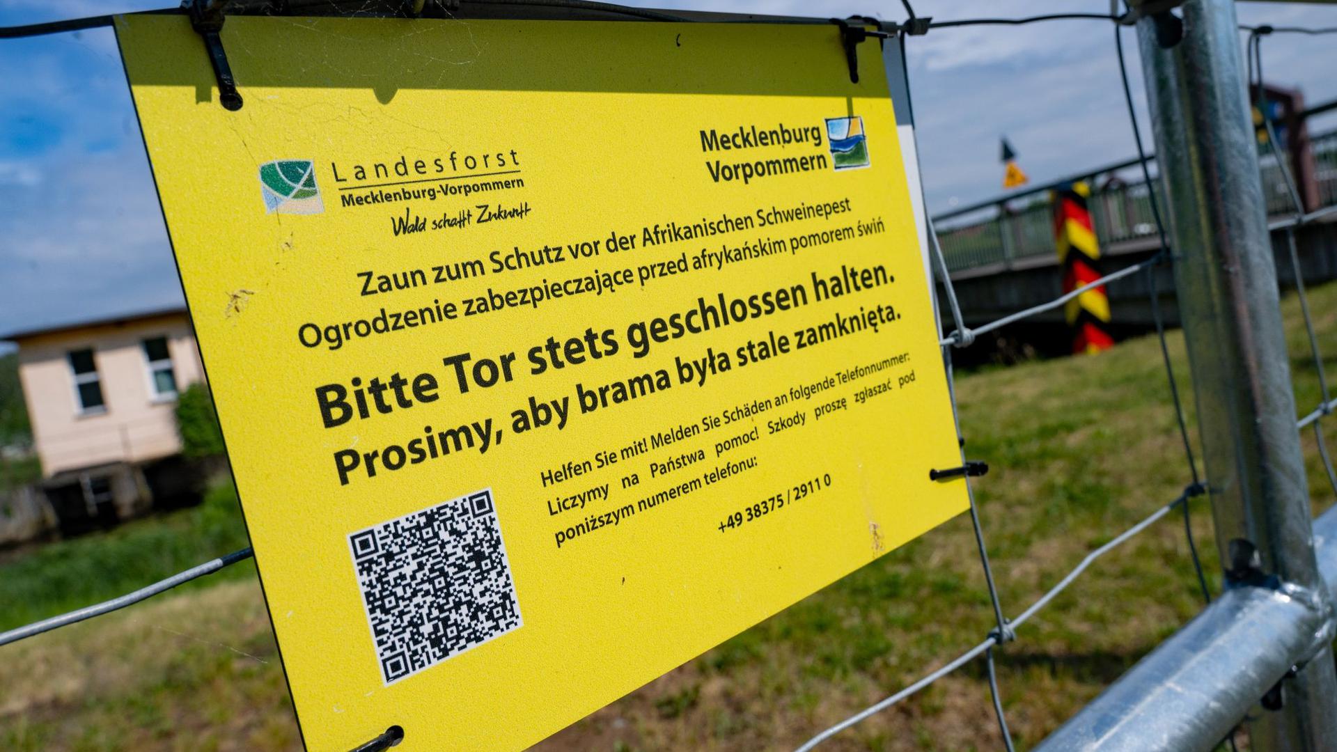 Auf der Insel Usedom steht ein Sperrzaun als Wildzaun zum Schutz vor Schweinepest.