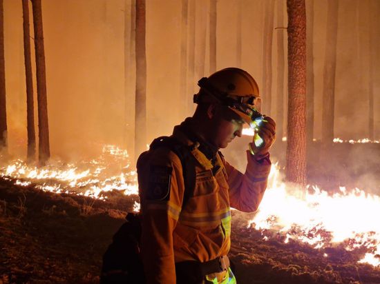Waldbrand bei Beelitz: „Probieren einfach nur alles zu retten, was geht“.