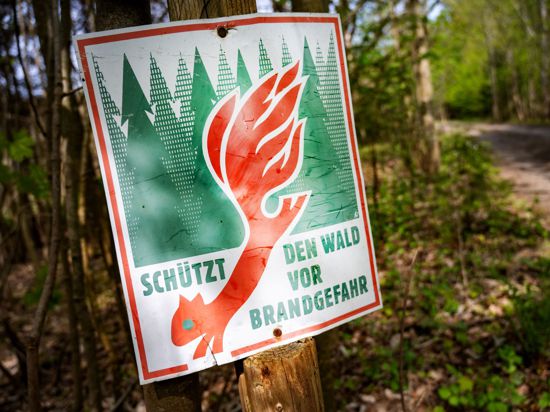 Ein Schild mit der Aufschrift „Schütz den Wald vor Brandgefahr“ hängt in einem Wald an einem Waldweg.