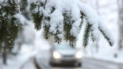 Ein Auto fährt hinter einem schneebedeckten Zweig über die Straße.