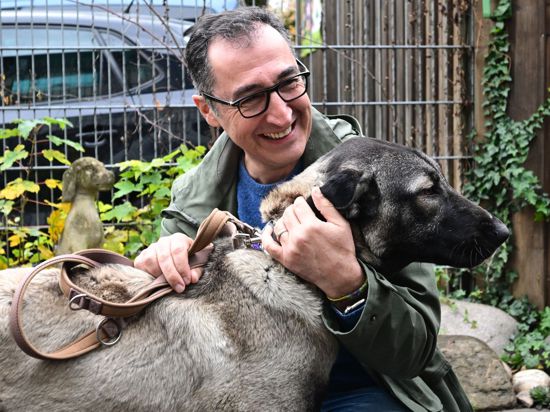 Bundeslandwirtschaftsminister Cem Özdemir streichelt bei einem Besuch im Tierheim eine Hündin.