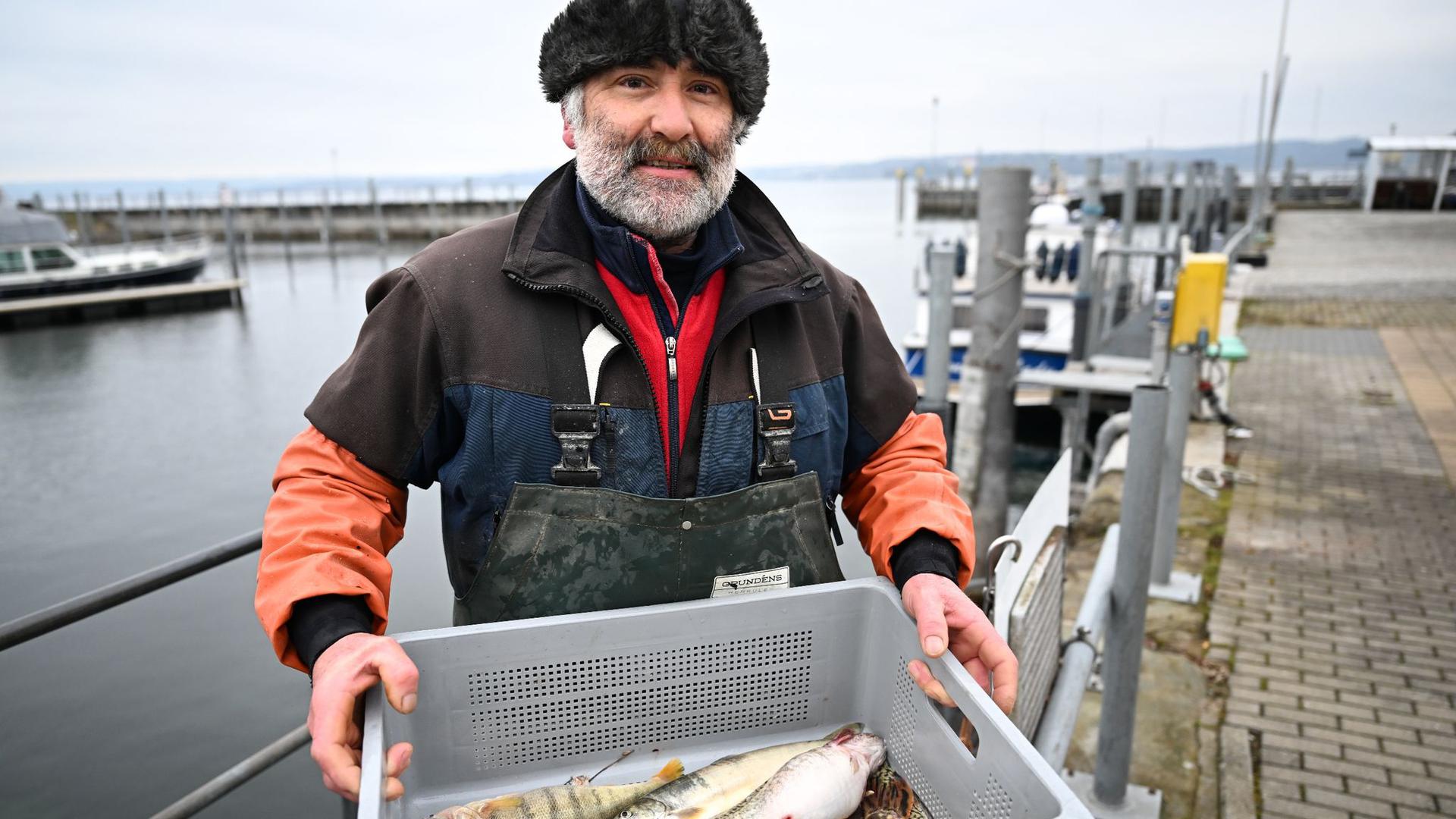Fischwirtschaftsmeister Norbert Knoblauch hält im Hafen von Unteruhldingen am Bodensee eine Kiste mit frisch gefangenem Fischen in den Händen.