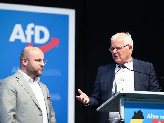 Markus Frohnmaier (l) und Emil Sänze, Landesvorsitzende der AfD Baden-Württemberg, stehen beim AfD-Landesparteitag gemeinsam auf dem Podium.