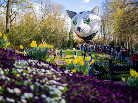 Ein Modellballon in Form einer Katze wird im Blühenden Barock in Ludwigsburg steigen gelassen.