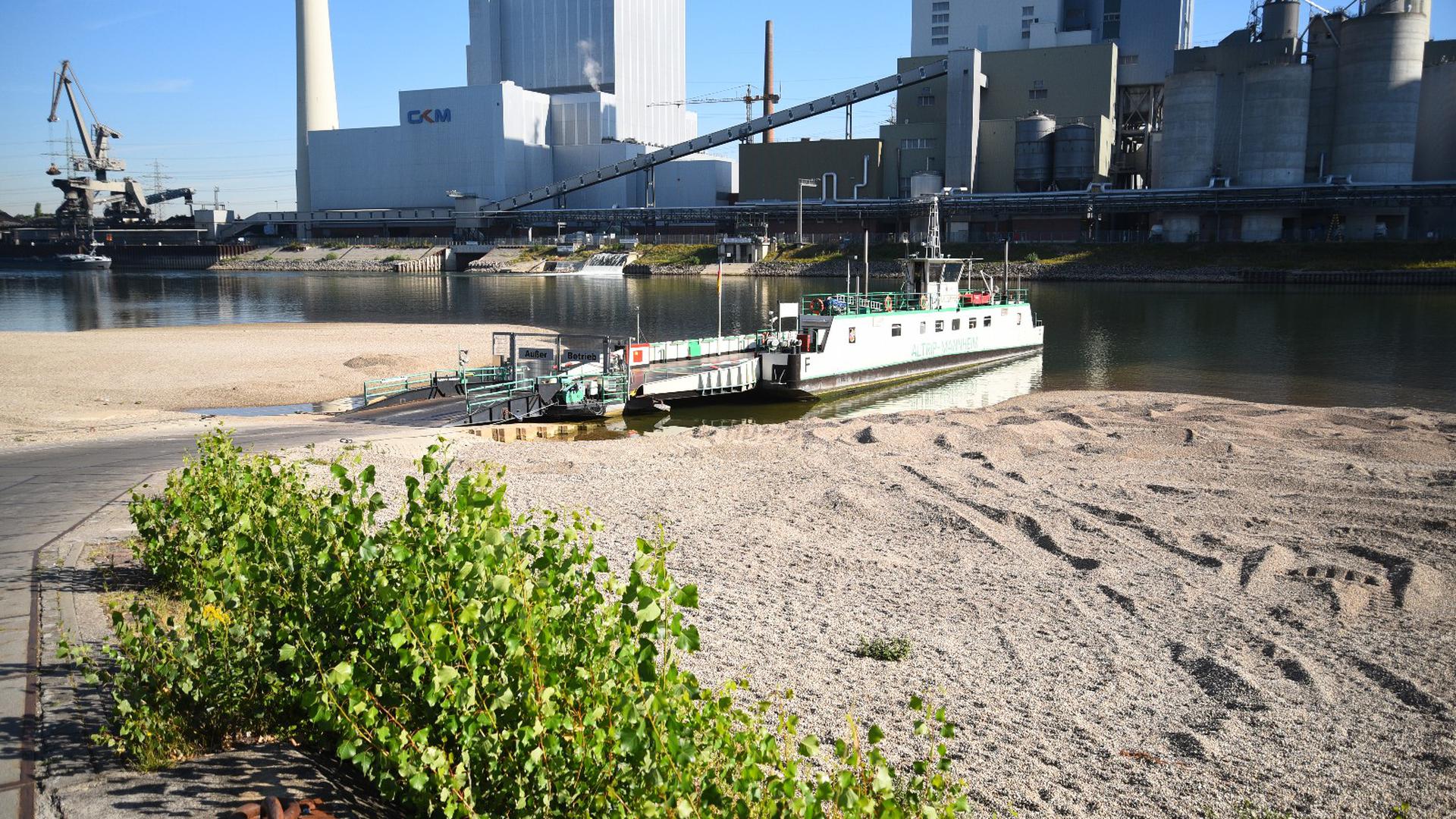 Eine Fähre liegt am Hafen in Mannheim. Das Niedrigwasser im Rhein zwingt zahlreiche Fährennutzer zu großen Umwegen. 