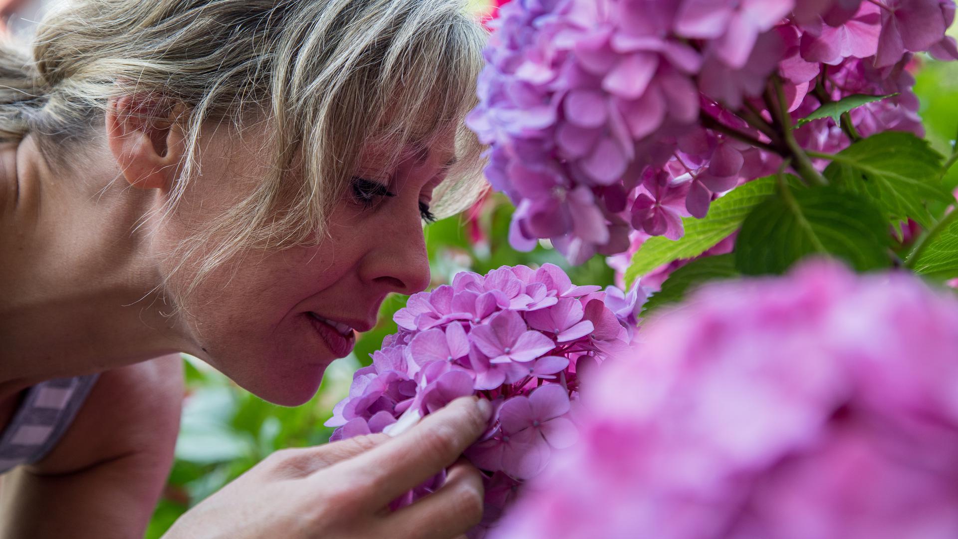 Eine Frau riecht an violetten Blumen an einem Busch.