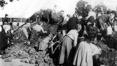 Menschen suchen während der Inflation in den 1920er Jahren in Müllbergen nach Brennmaterial.