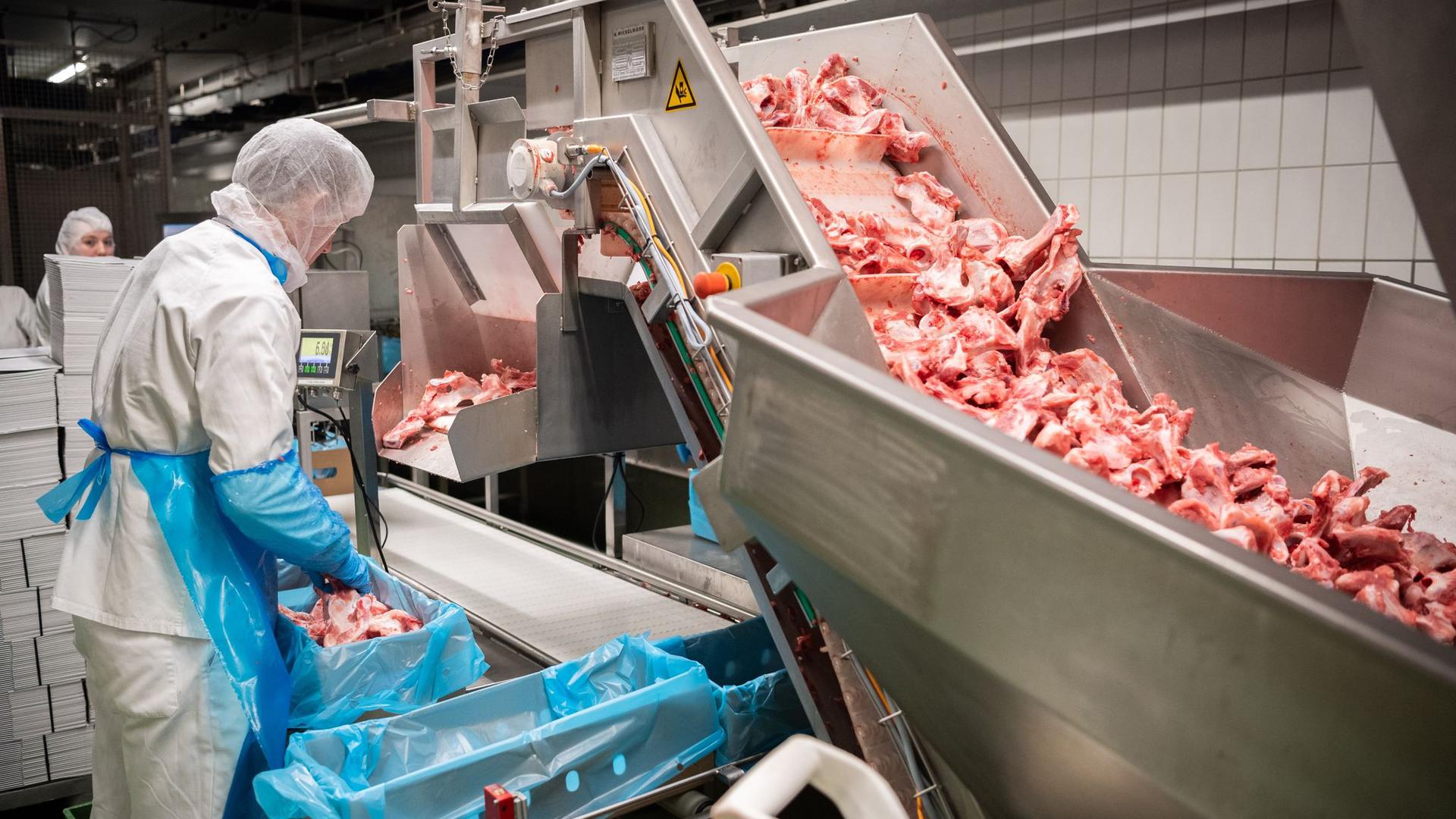 Ab 2021 darf in der Fleischindustrie nicht mehr mit Leiharbeit oder Werksverträgen gearbeitet werden.