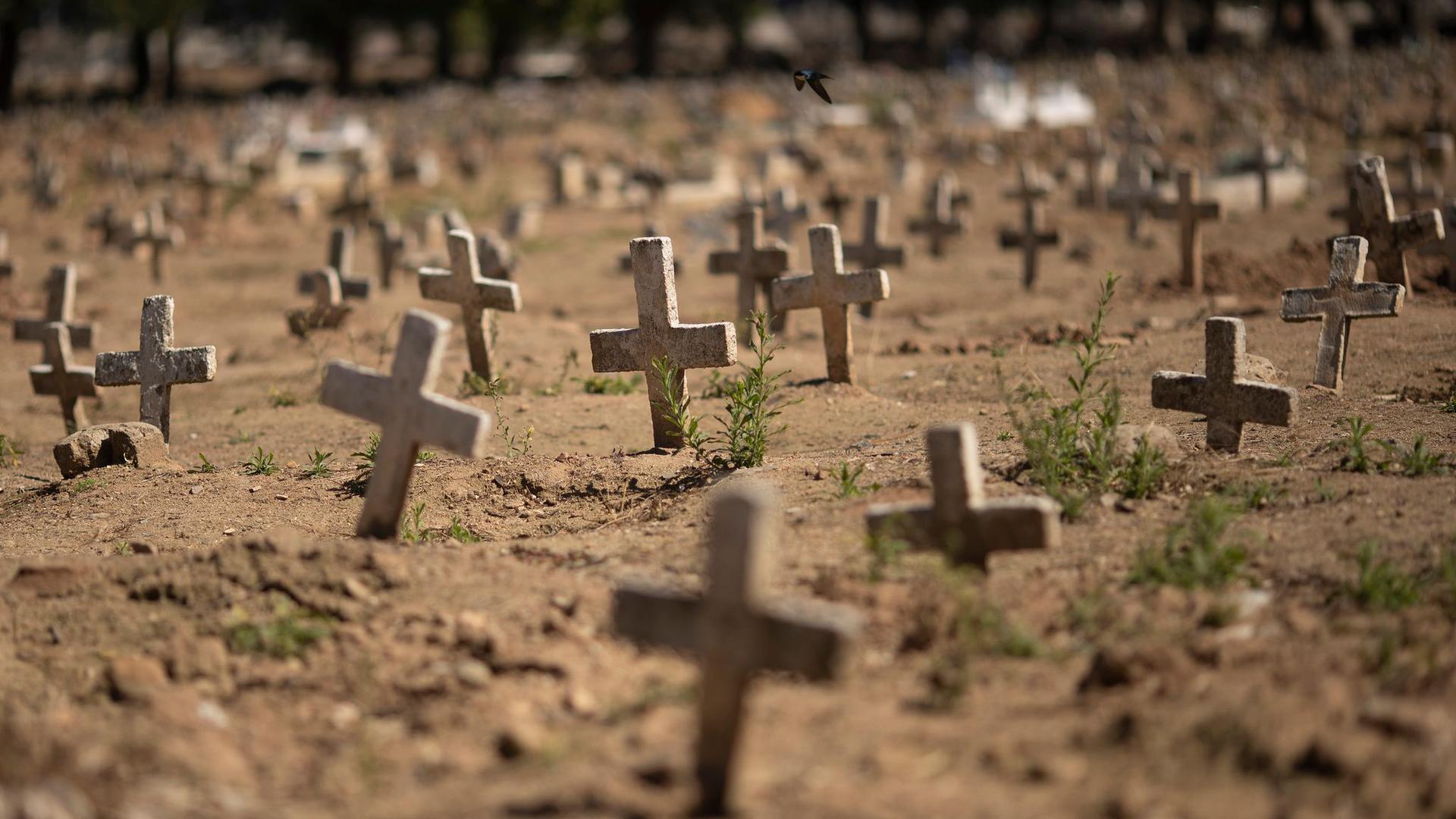 Kreuze für Opfer der Corona-Pandemie auf einem Friedhof in Rio de Janeiro.