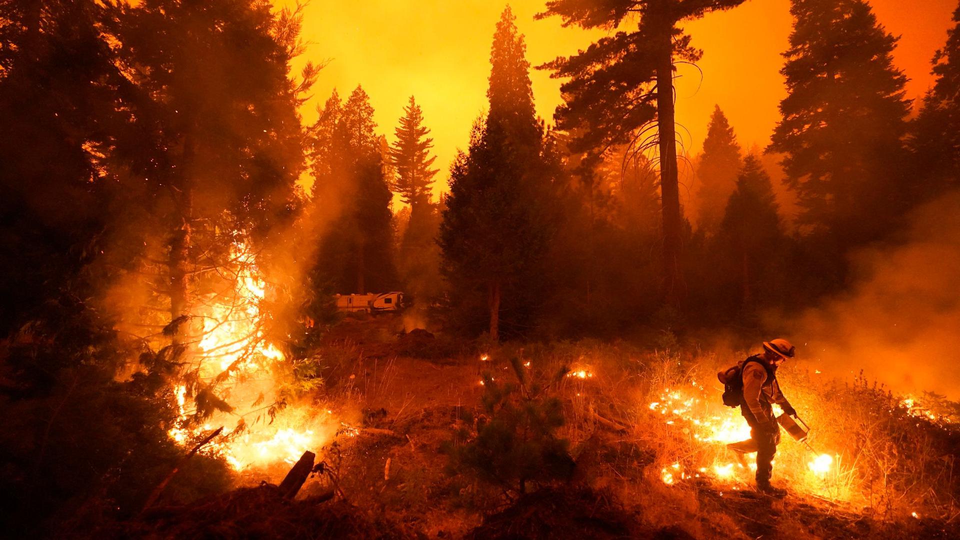Ein Feuerwehrmann ist bei einem Waldbrand im Einsatz. Rasch um sich greifende Waldbrände haben Teile Kaliforniens in eine Feuerhölle verwandelt.