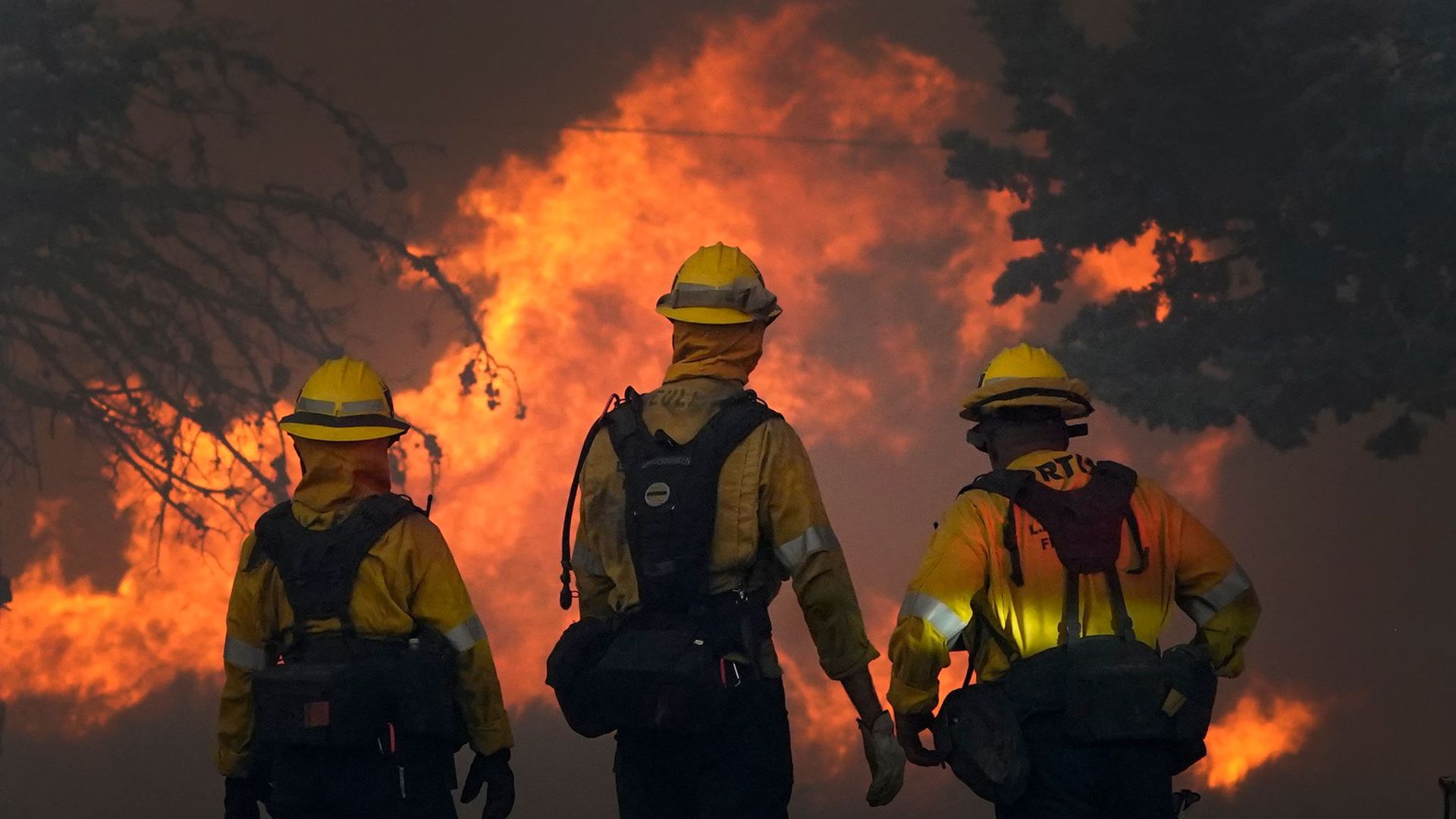 Das Bobcat-Feuer brennt in der Gegend von Juniper Hills im Antelope Valley weiter.