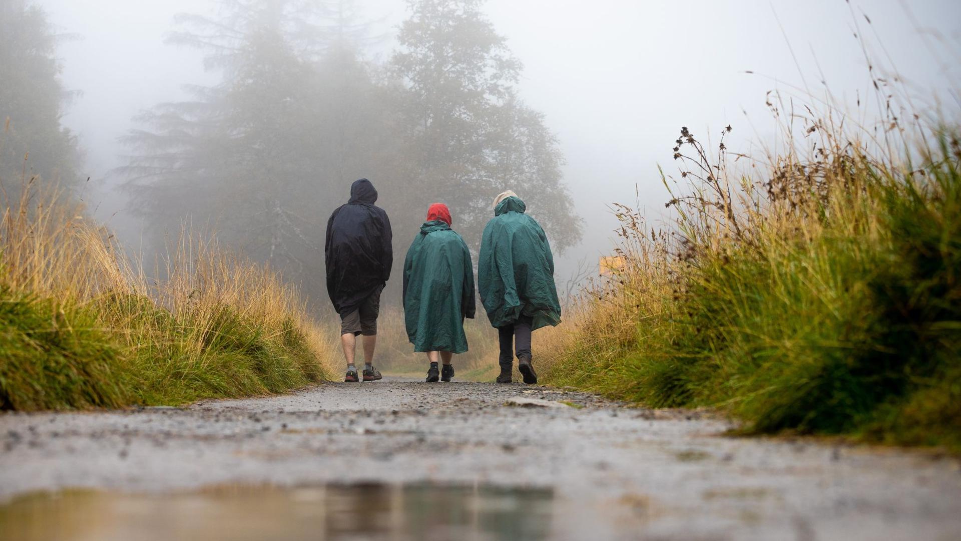 Wanderer sind bei Regen und Nebel im Harz unterwegs.