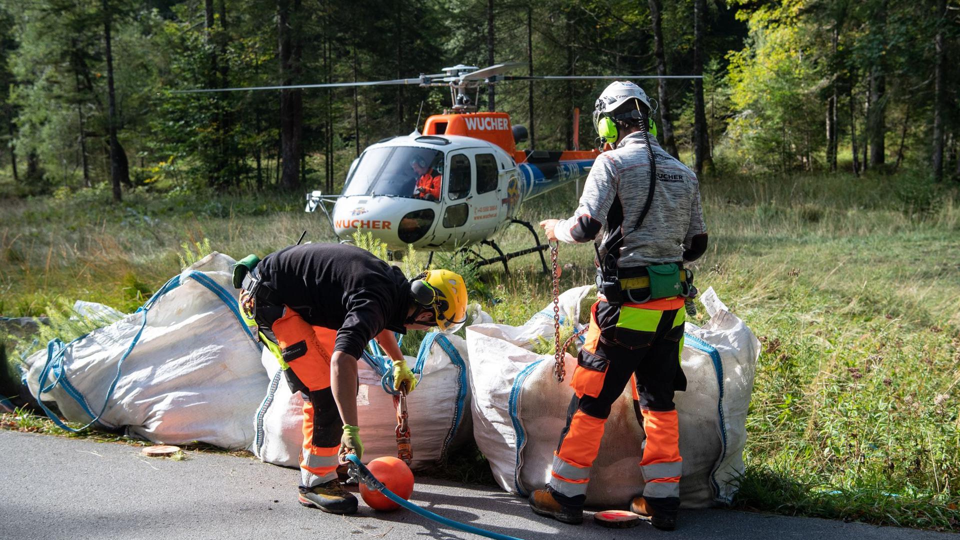 Besatzungsmitglieder binden auf einer Waldlichtung in Rottach-Egern zwei Säcke mit rund 1240 Tannen- und Lärchensetzlingen an einen Hubschrauber.