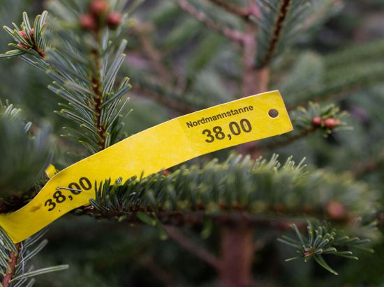 Ein Preisschild in Höhe von 38,00 Euro hängt an einer Nordmanntanne. Der Bundesverband der Weihnachtsbaumerzeuger erwartet auch 2020 ein traditionelles Verhalten beim Tannenbaumkauf.