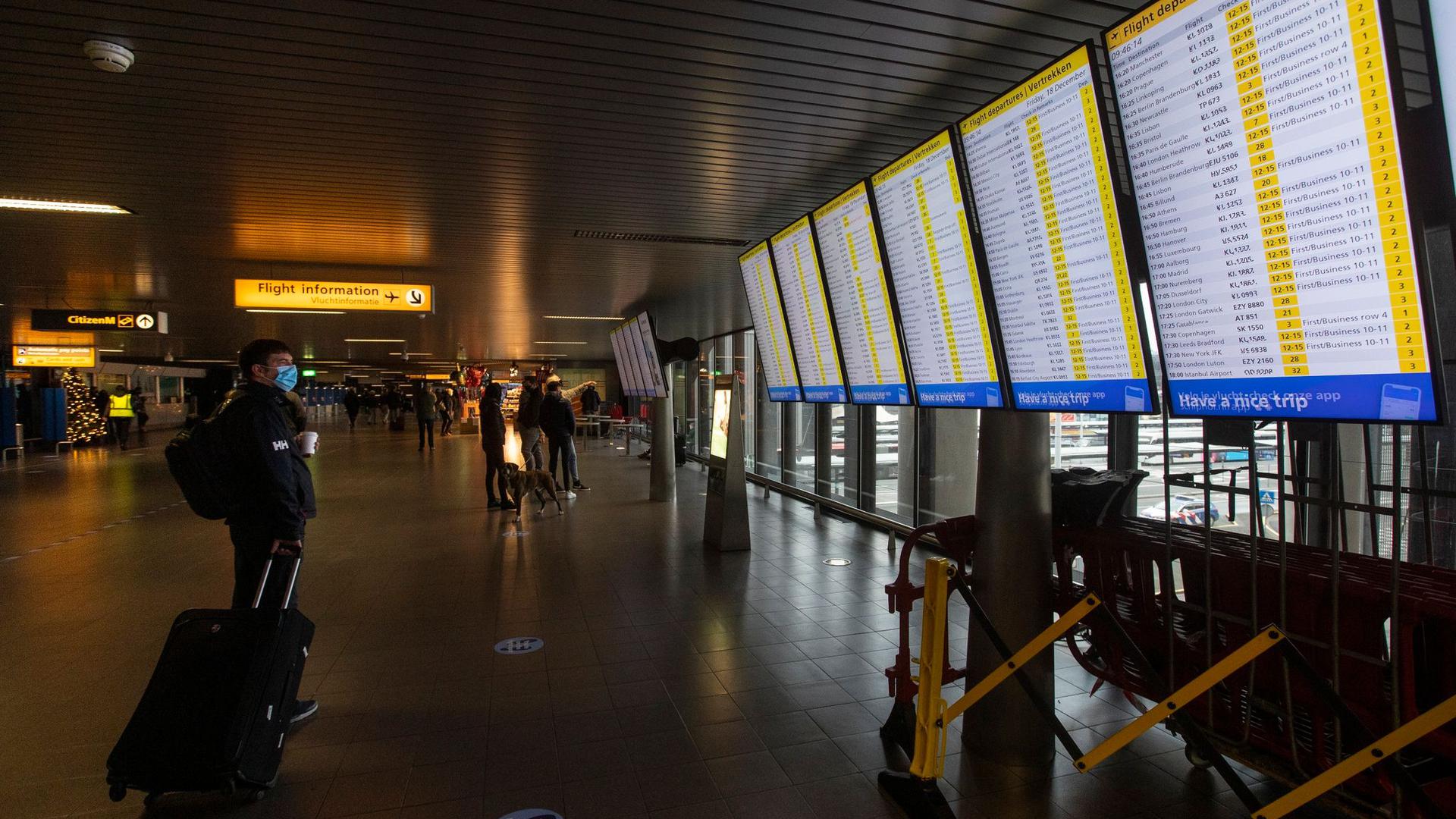 Ein Reisender schaut auf die Anzeigetafeln mit den Abflügen am Flughafen Schiphol bei Amsterdam.