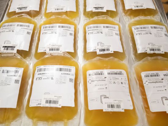 Beutel mit Blutplasma liegen in der Herstellungsabteilung des DRK-Blutspendedienst vor dem Gefriergerät.