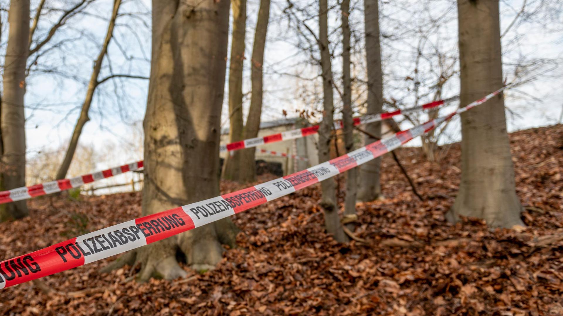 In diesem Wald bei Seevetal in Niedersachsen sind in einem Erddepot möglicherweise Hinterlassenschaften der linksterroristischen RAF gefunden worden.