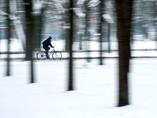 Eine Radfahrerin fährt durch den verschneiten Bürgerpark in Bremen. Norddeutschland steht ein erneuter Wintereinbruch mit viel Schnee bevor.