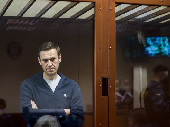 Alexej Nawalny steht wegen der angeblichen Beleidigung eines Weltkriegsveteranen vor Gericht.