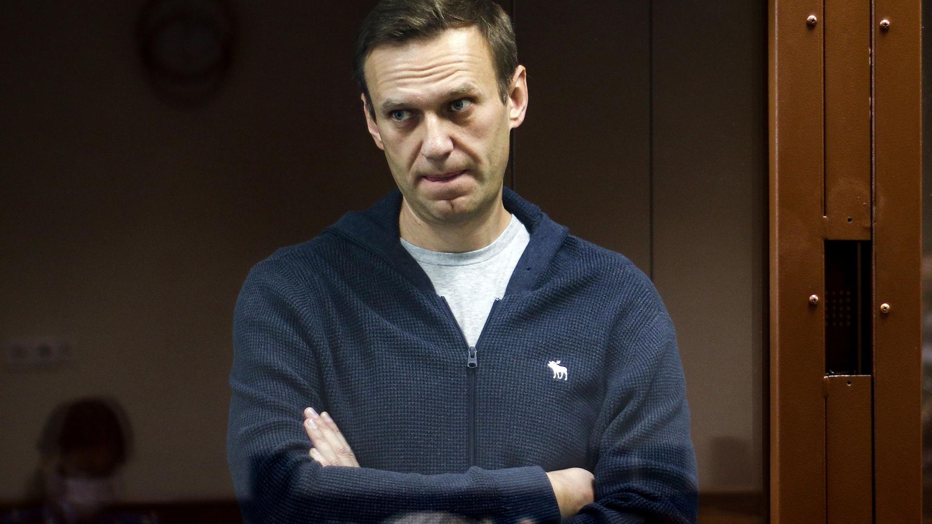 Der russische Oppositionspolitiker Alexej Nawalny während einer Anhörung vor dem Bezirksgericht Babuskinsky in Moskau.