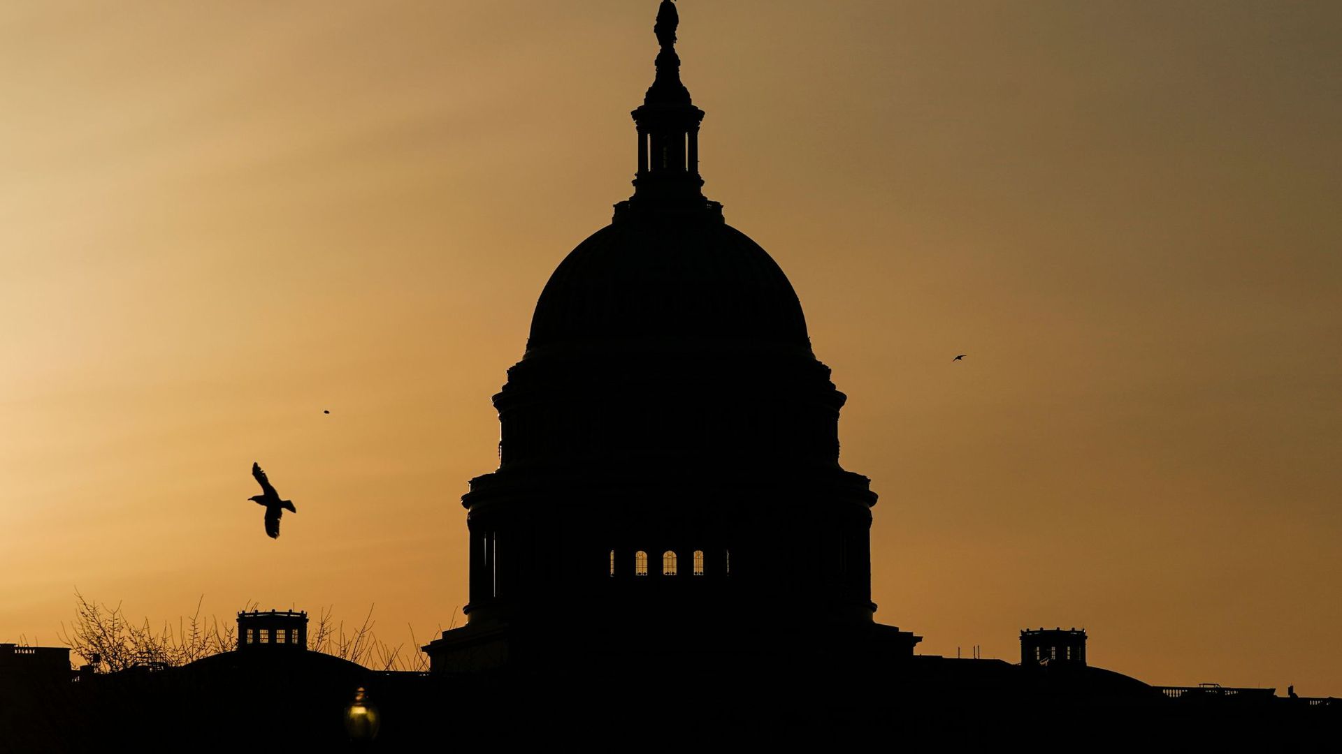 Die Kuppel des US-Kapitols in Washington, Sitz von Senat und Repräsentantenhaus.