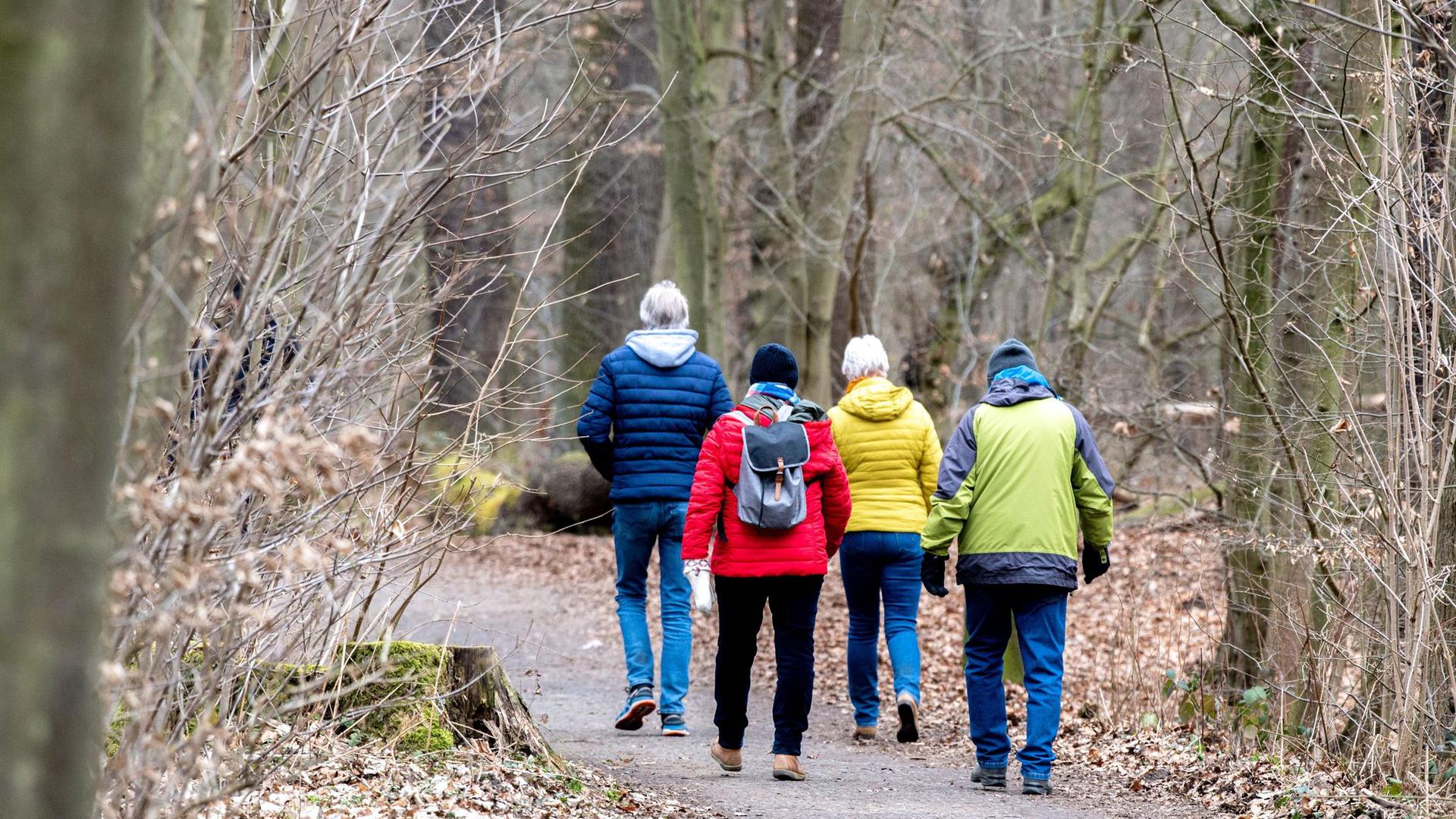 Spaziergänger sind in einem Wald im Naturschutzgebiet Riddagshausen unterwegs.