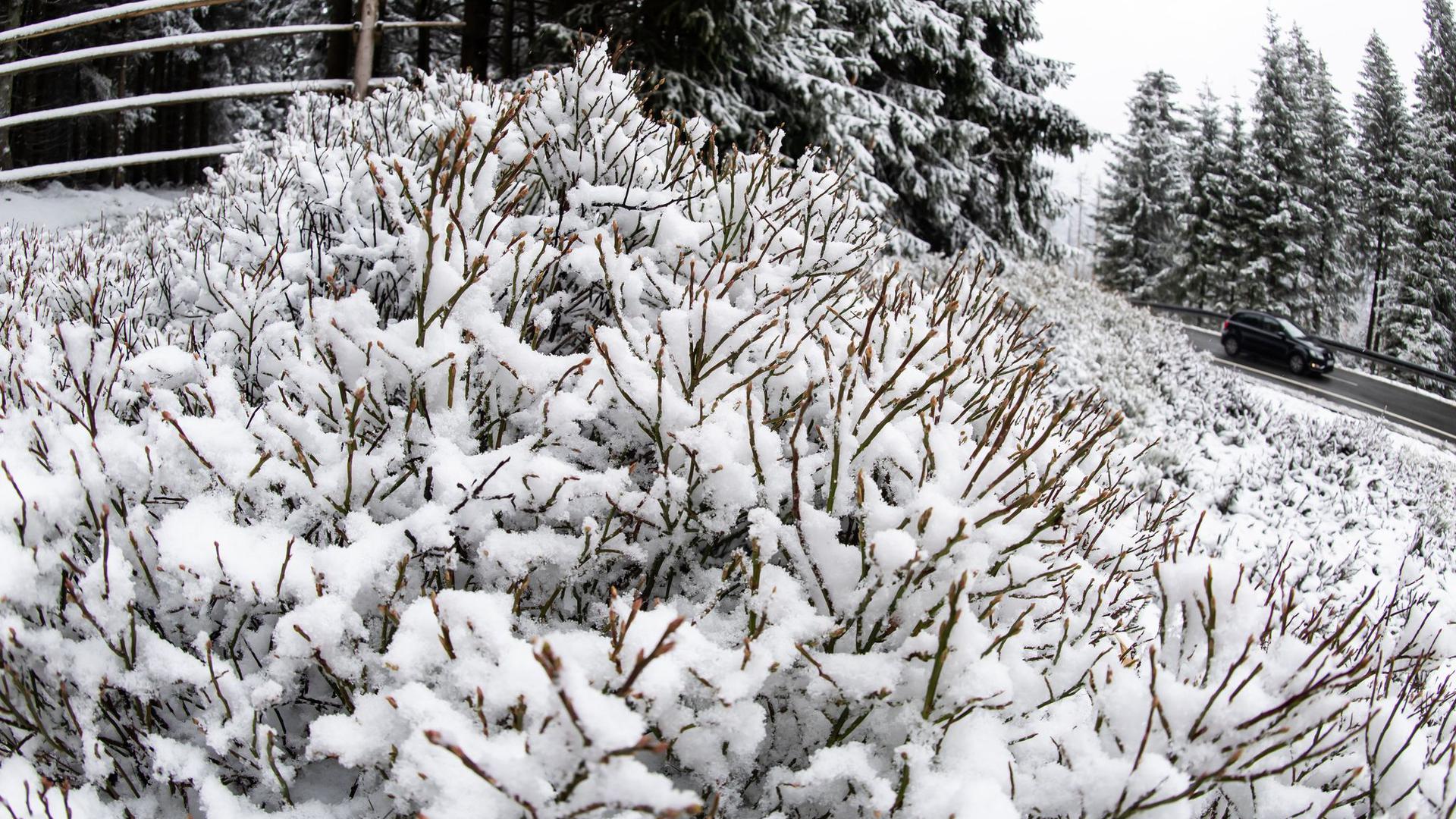 An diesem Freiatg gab es im Harz nochmal Schnee.
