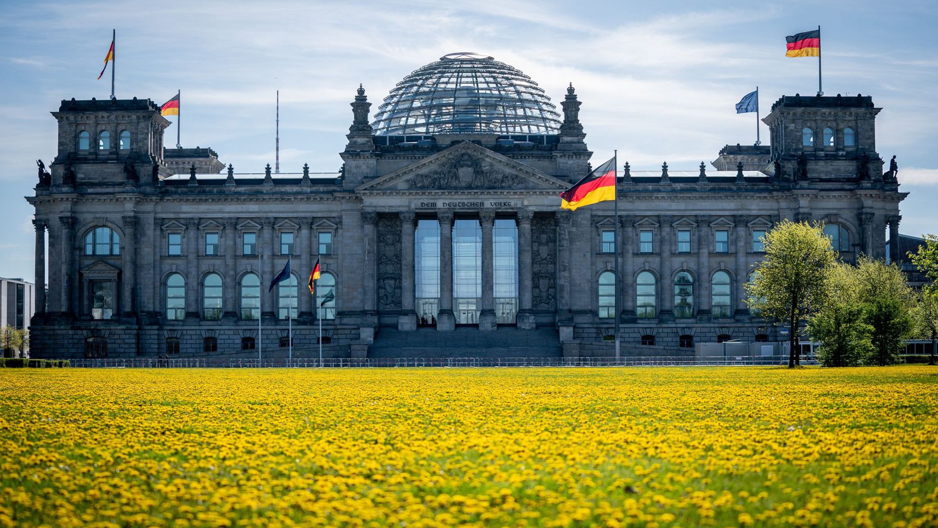Löwenzahn blüht auf der Wiese vor dem Reichstagsgebäude in der Morgensonne. (Archivbild)