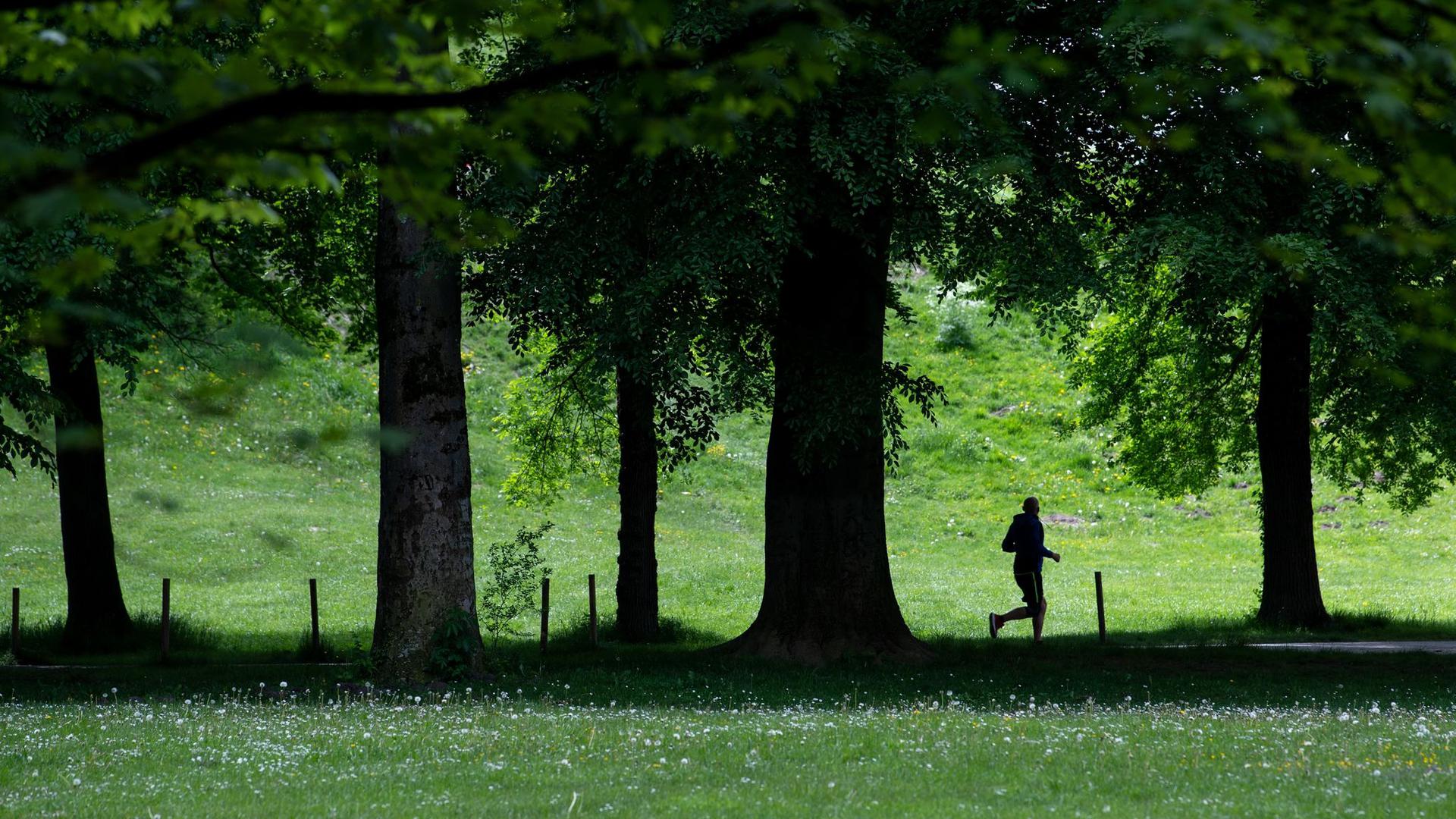 Ein Jogger ist im Englischen Garten in München unterwegs. Bewegung liegt in der Natur des Menschen - von Anfang an.