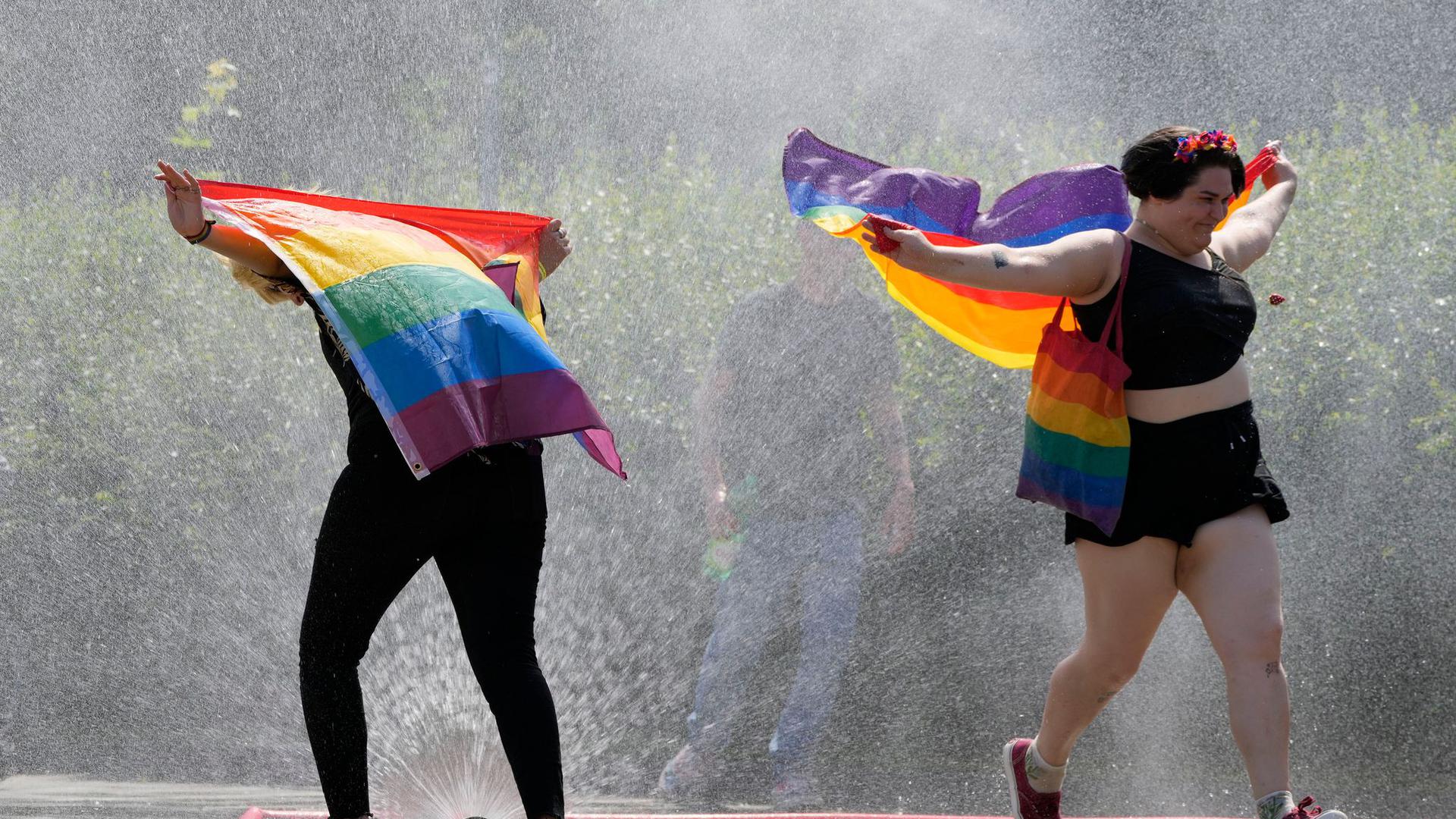 Der Brief der Staats- und Regierungschefs erwähnt als Anlass den International Lesbian Gay Bisexual and Transgender Pride Day am 28. Juni.