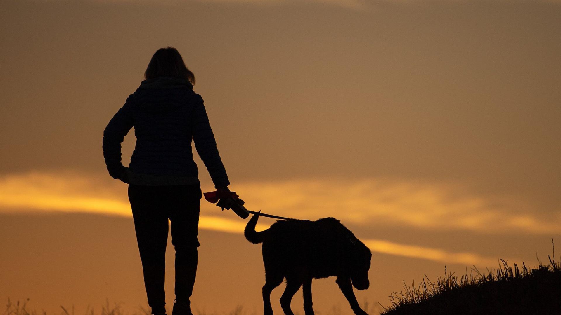 Eine Frau geht am Morgen mit ihrem Hund spazieren.