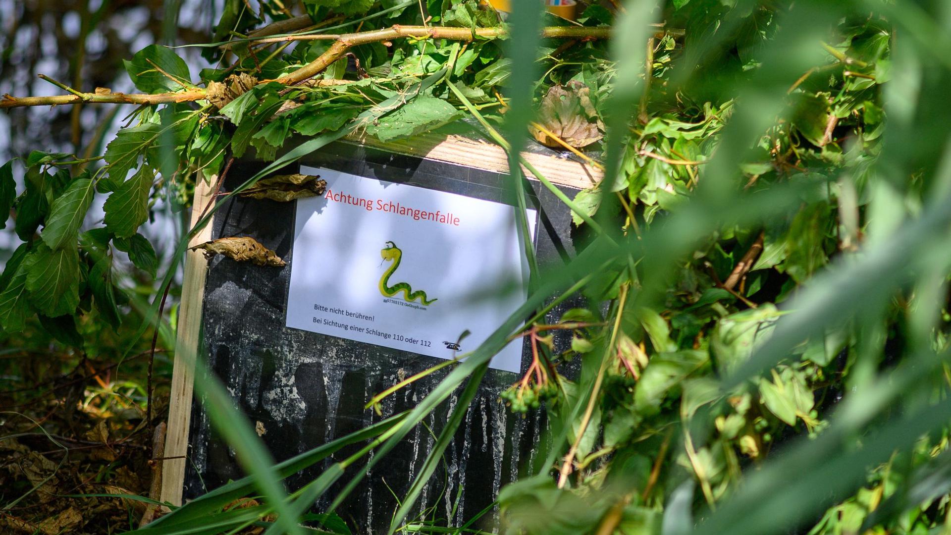 Eine Kiste mit der Aufschrift „Achtung Schlangenfalle“ in Haldensleben.