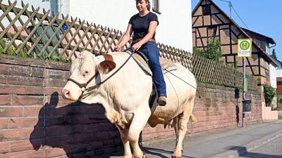 Sonja Keller reitet mit der Kuh Melina aus.