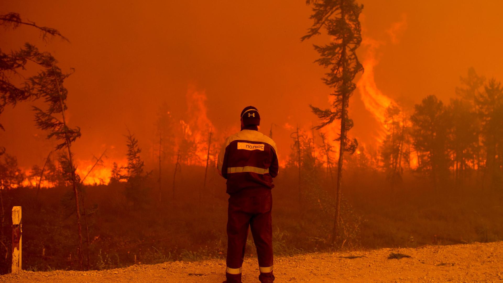 Ein Feuerwehrmann beobachtet westlich von Jakutsk in Russland einen Waldbrand.